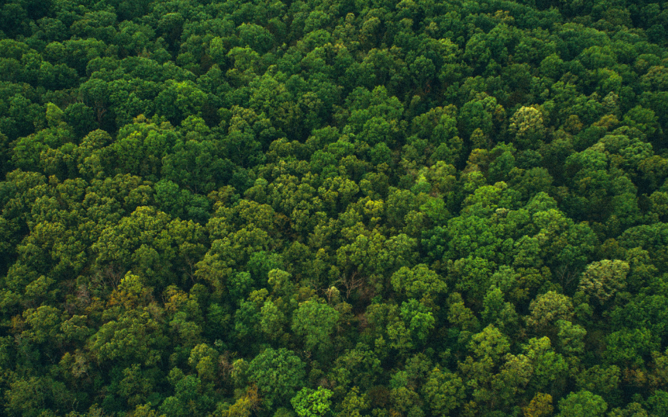 Reduce. Reuse. Recycle.